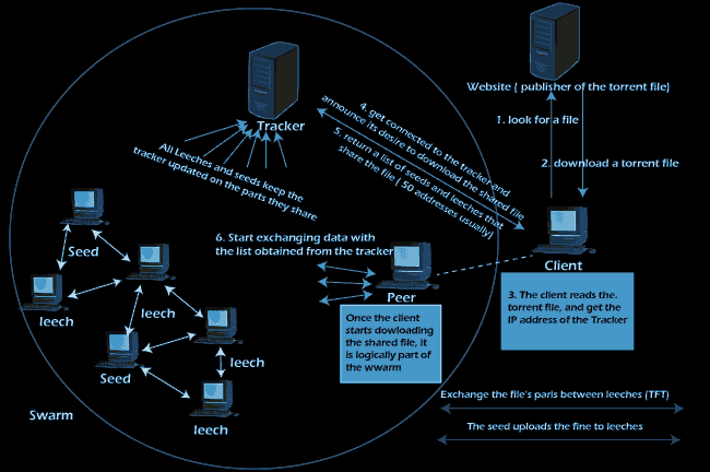 diagram av torrenting